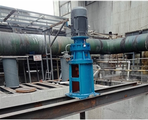 ���ʽ������ 